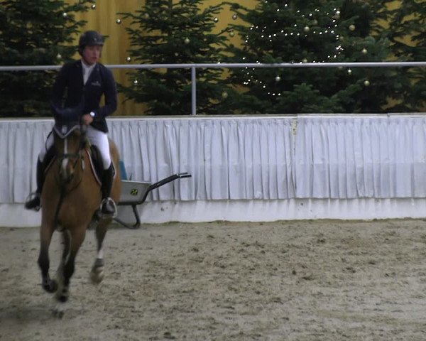 Reitturnier Verden 2022