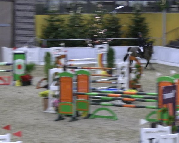Reitturnier Verden 2022