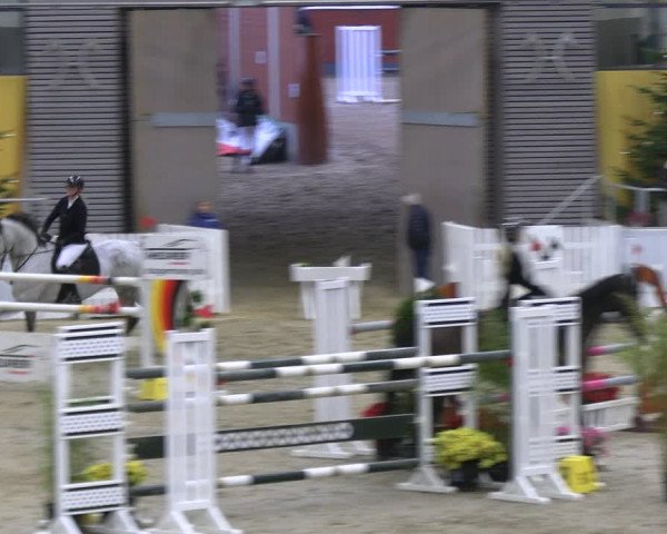 Reitturnier Verden 2022