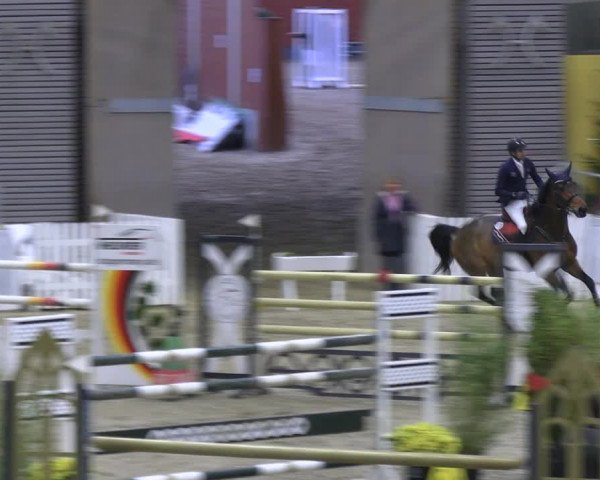 Reitturnier Verden 2022