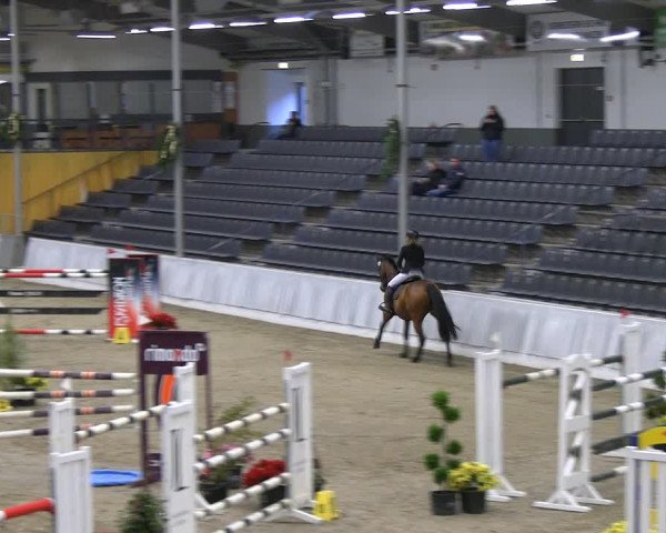 Reitturnier Verden 2022