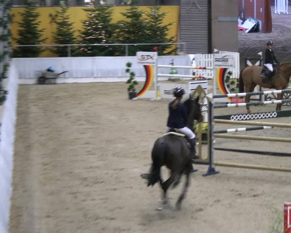 Reitturnier Verden 2022