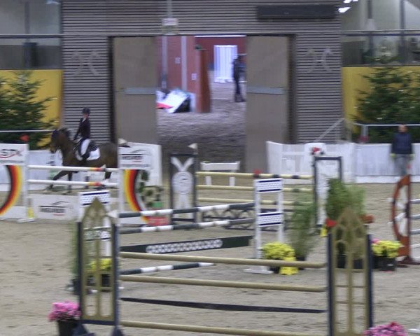 Reitturnier Verden 2022