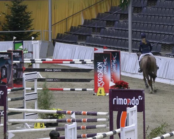 Reitturnier Verden 2022