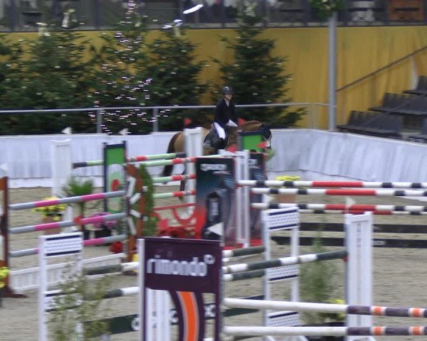 Reitturnier Verden 2022