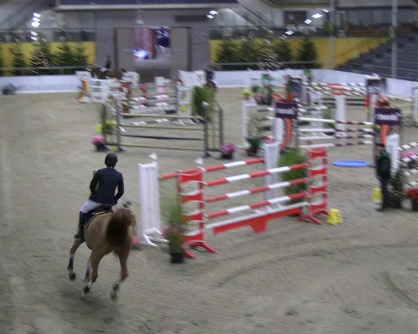 Reitturnier Verden 2022