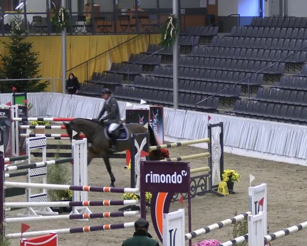 Reitturnier Verden 2022