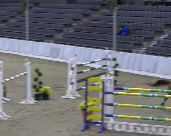Reitturnier Verden 2022