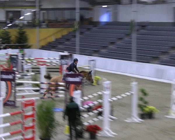 Reitturnier Verden 2022