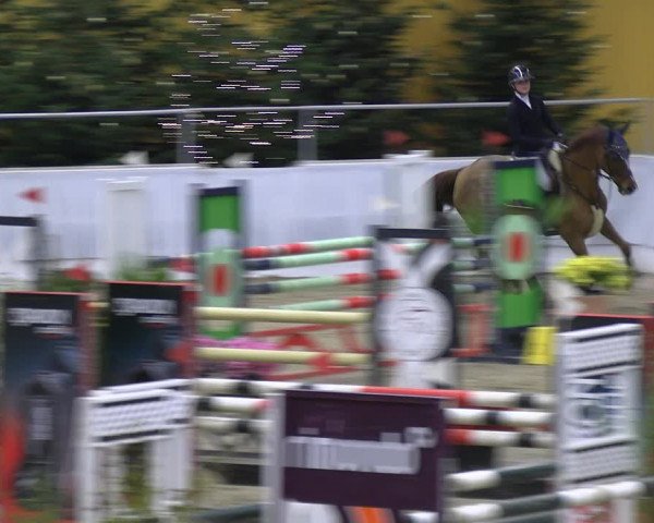 Reitturnier Verden 2022