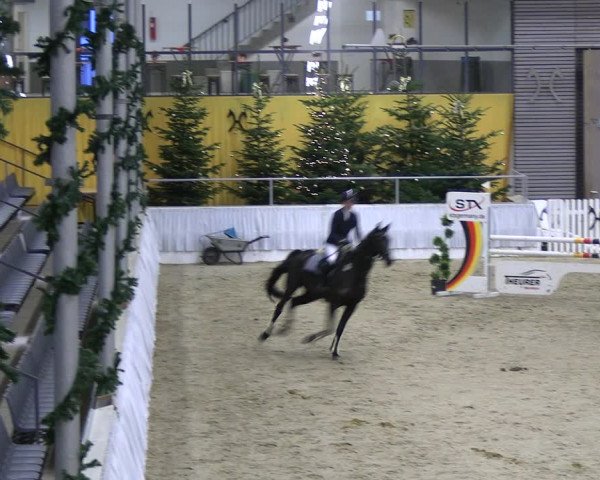 Reitturnier Verden 2022