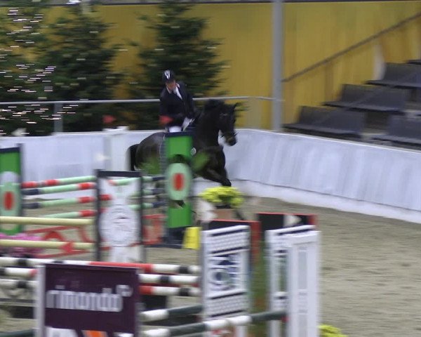 Reitturnier Verden 2022