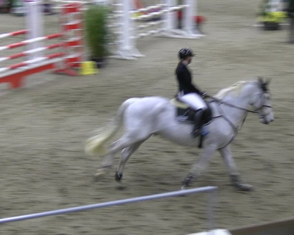 Reitturnier Verden 2022