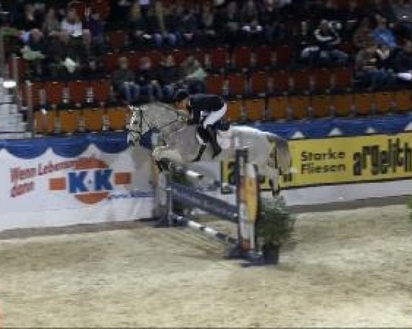 jumper Avalanche of Hope (Hanoverian, 1997, from Antibes)