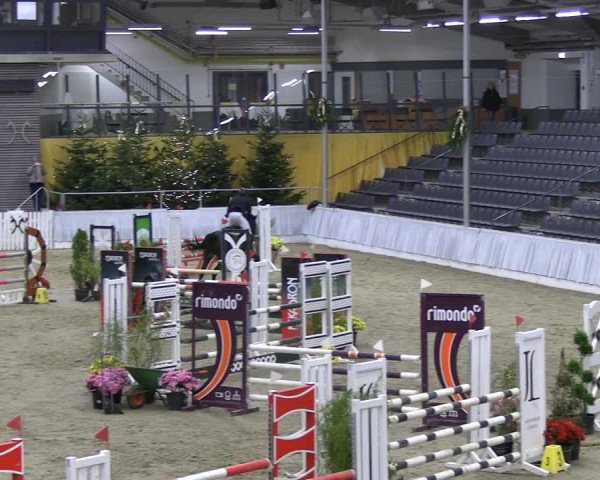 Reitturnier Verden 2022