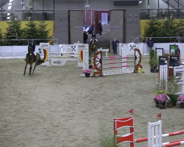 Reitturnier Verden 2022