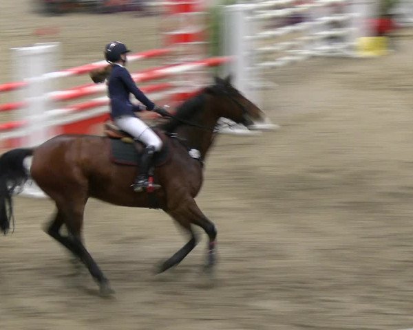 Reitturnier Verden 2022