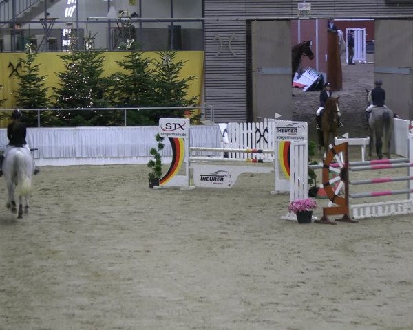 Reitturnier Verden 2022