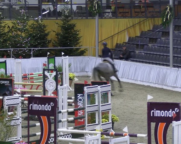 Reitturnier Verden 2022