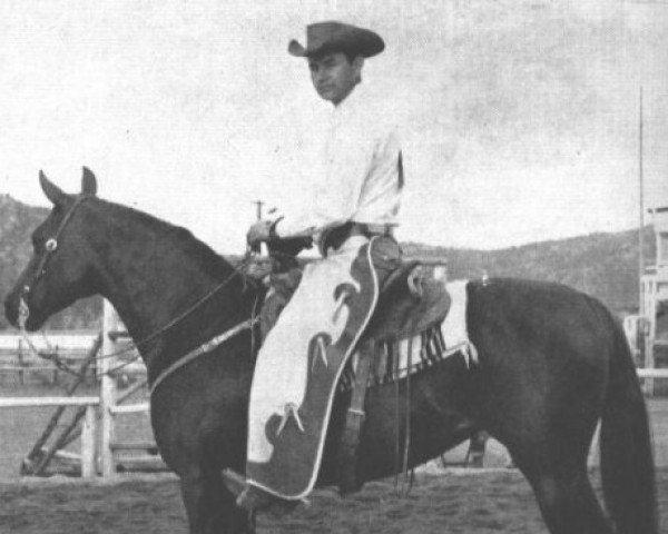 broodmare Indasafa ox (Arabian purebred, 1952, from Indy ox)