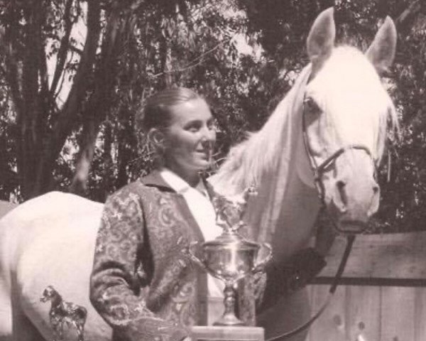 broodmare Al-Marah Rainbow ox (Arabian purebred, 1957, from Naharin ox)