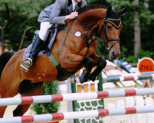 broodmare Ucalla (Westphalian, 2001, from Insul Tech Up To Date 8)