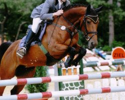 broodmare Ucalla (Westphalian, 2001, from Insul Tech Up To Date 8)