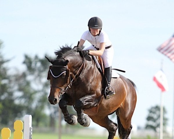 horse Parida (Holsteiner, 2004, from Casall Ask)