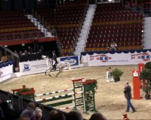 jumper Teutonia Mcf (Holsteiner, 2003, from Coriano)