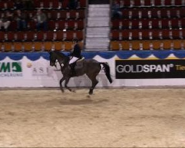 jumper Grandeur Noir (Oldenburg, 2004, from Grandeur)