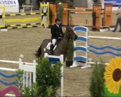jumper Airplay 4 (Hanoverian, 1999, from Adlantus As FRH)