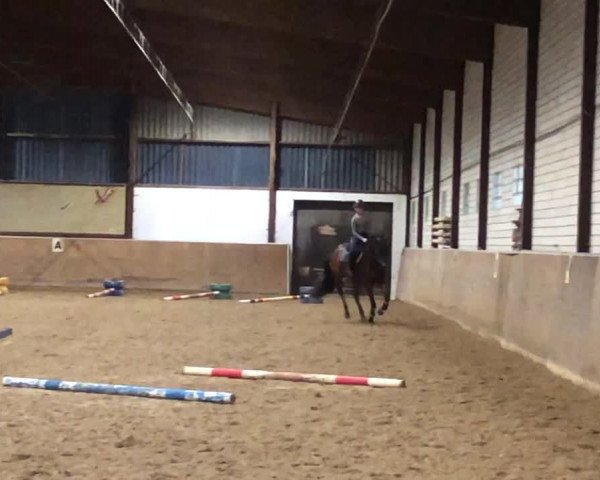 Video von Quixbert