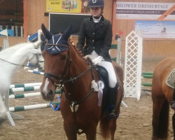 jumper Franz 160 (Oldenburg, 2012, from Fuechtels Floriscount OLD)