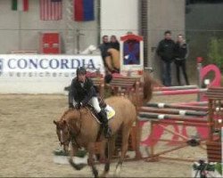 jumper Luigi 206 (Oldenburg, 2004, from Ludwig von Bayern 168 FIN)