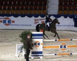 broodmare Utama (Holsteiner, 2004, from Cash and Carry)