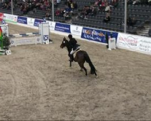 jumper Confiance 3 (Holsteiner, 1999, from Candillo Z)