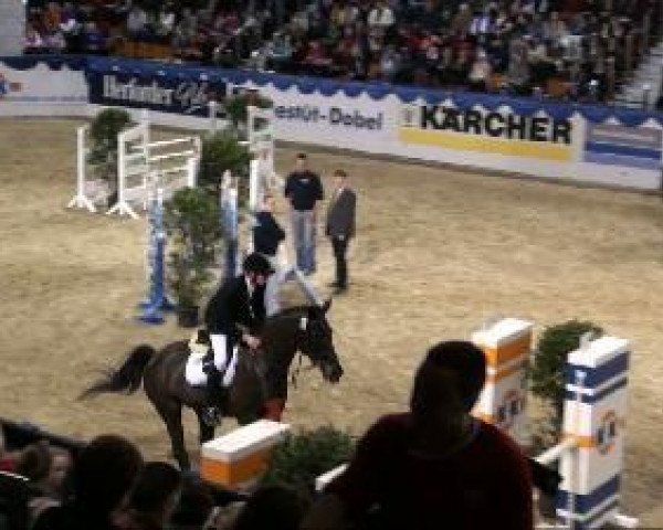 dressage horse Jerry-Leee (Westphalian, 1993, from Jabot)