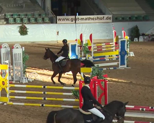 Reitturnier Kreuth/Opf. 2022