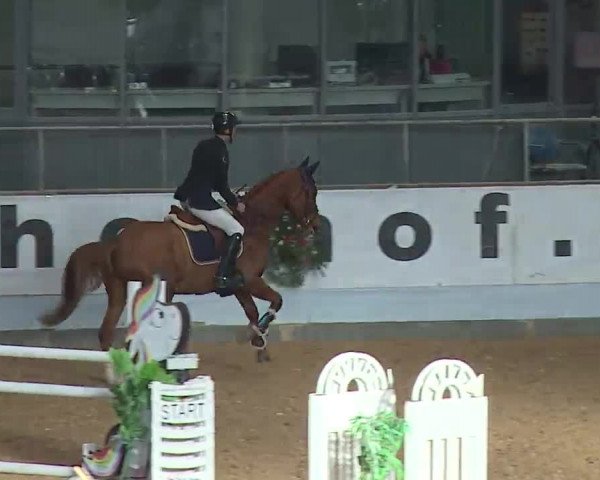 Reitturnier Kreuth/Opf. 2022
