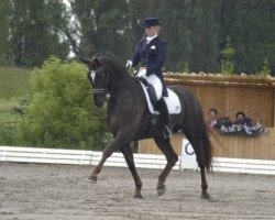 broodmare Donnerfee (Westphalian, 1994, from Donnerhall)