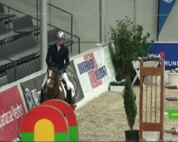 broodmare Farina (German Riding Pony, 2002, from Losander)