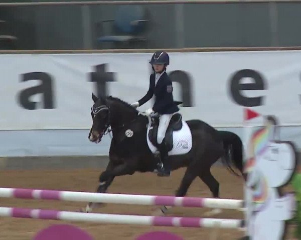 Reitturnier Kreuth/Opf. 2022