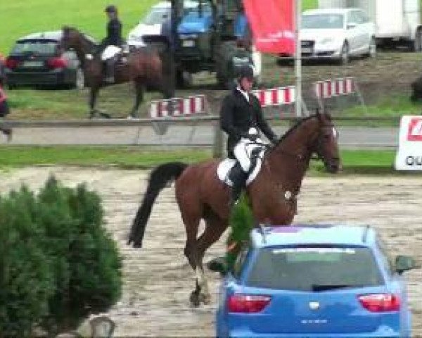 jumper Eddy 169 (Rhinelander, 2001, from Ehrentanz I)