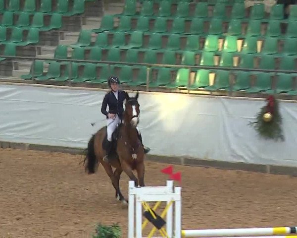 Reitturnier Kreuth/Opf. 2022