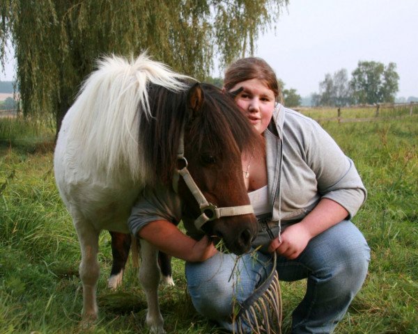 Dressurpferd Bella (Shetland Pony, 1990)