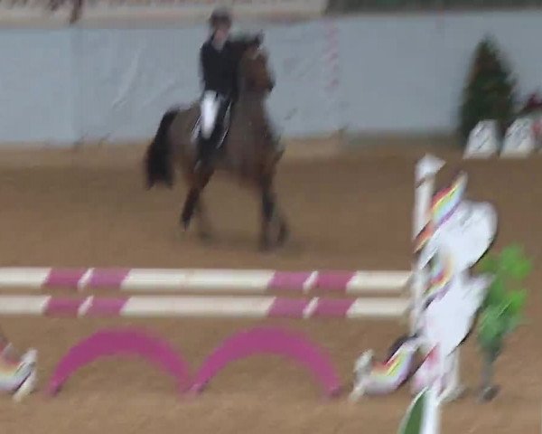 Reitturnier Kreuth/Opf. 2022