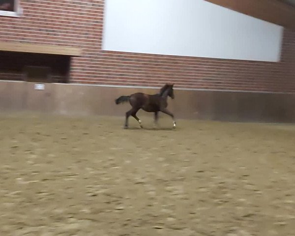 Video of Silent Touch