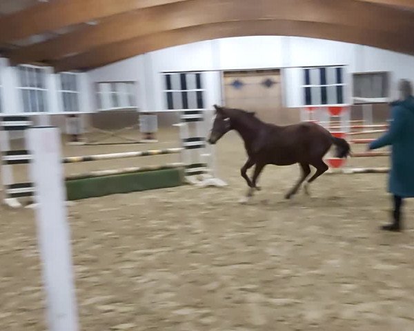 Video of Silent Touch