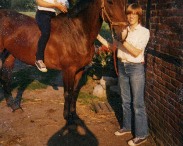 broodmare Anja (Westphalian, 1971, from Angelo xx)