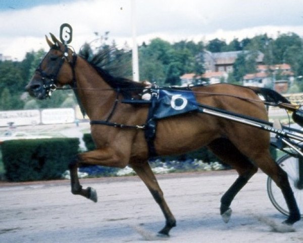 broodmare Lollipop Lobell GB802 (US) (American Trotter, 1988, from Speedy Crown 9498H (US))